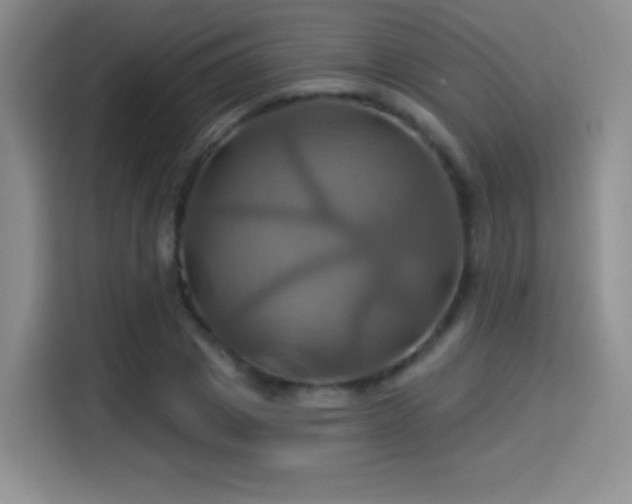 X0000114100833200910131320