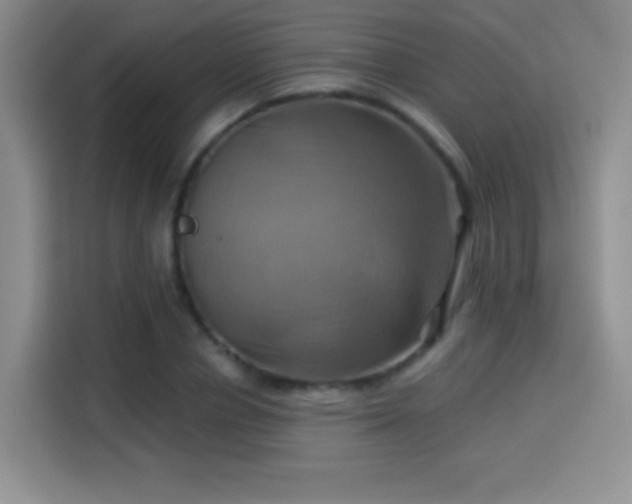 X0000114100834200910131320