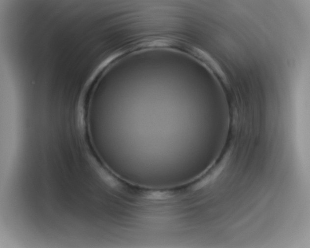 X0000114100835200910131320