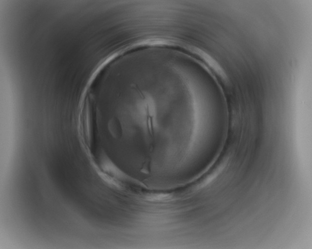 X0000114100837200910131320