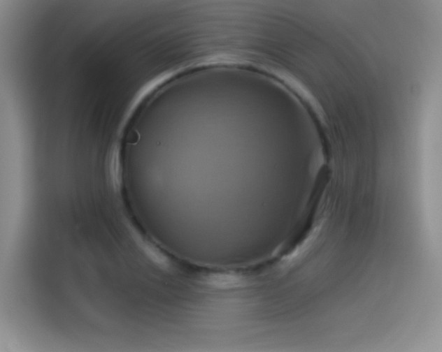 X0000114100838200910131320