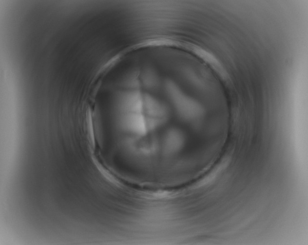 X0000114100841200910131320