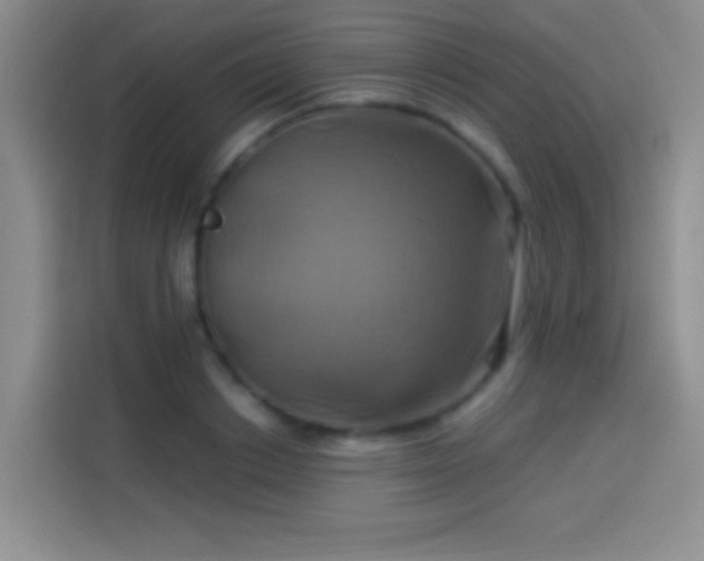 X0000114100842200910131320