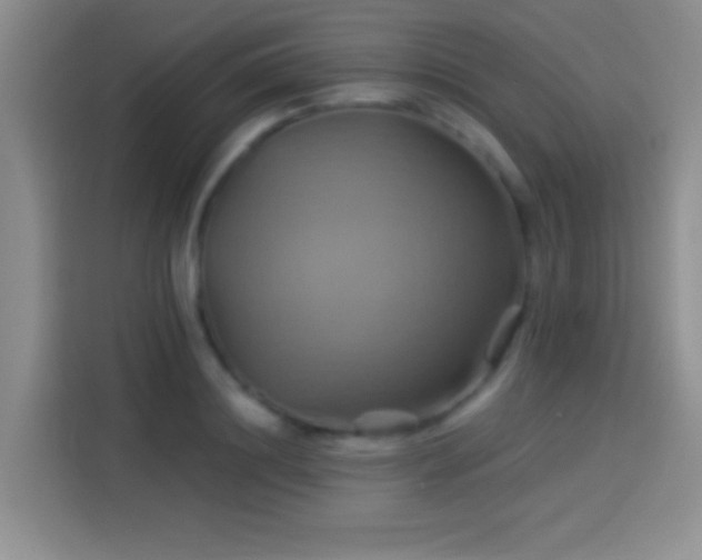 X0000114100844200910131320