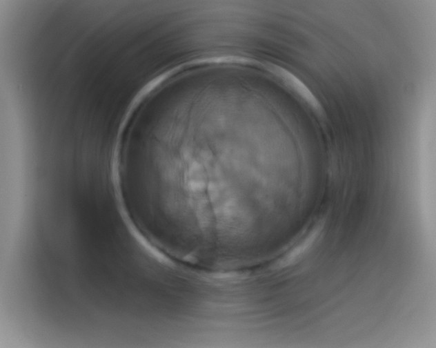 X0000114100847200910131320