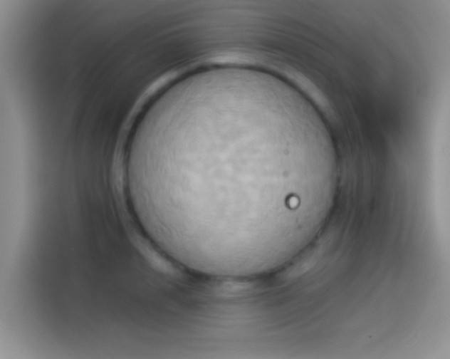 X0000114100848200910131321