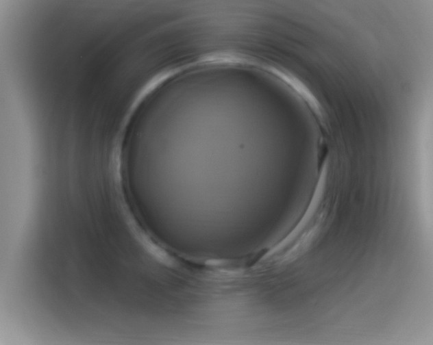 X0000114100854200910131321