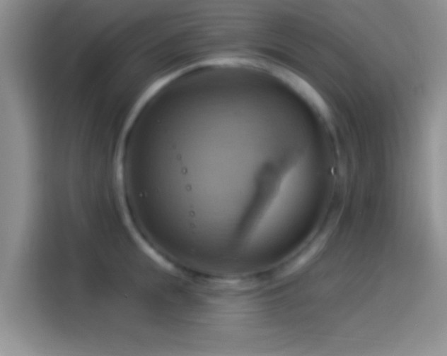 X0000114100855200910131321