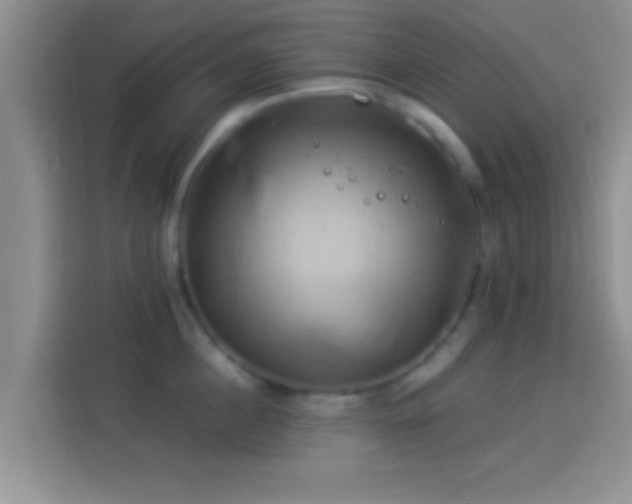 X0000114100860200910131321