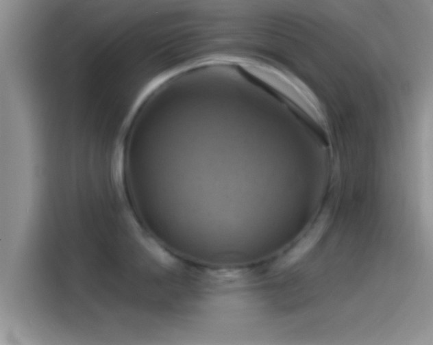 X0000114100862200910131321