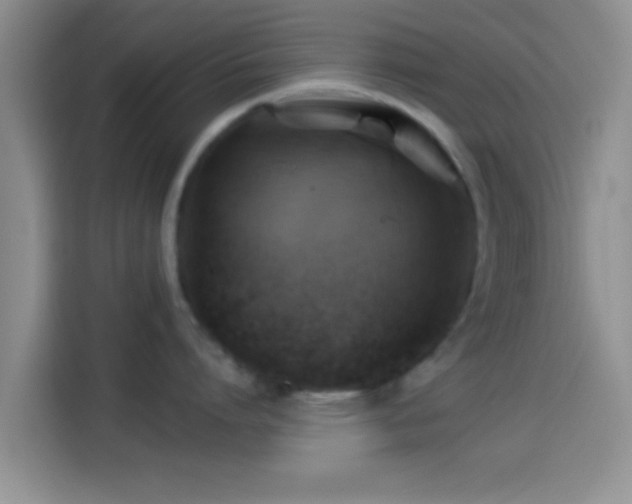 X0000114100864200910131321