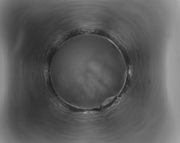 X0000114100867200910131320