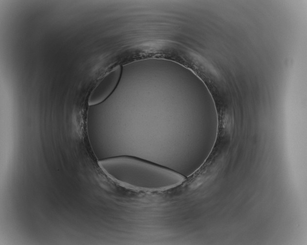 X0000114100868200910131320