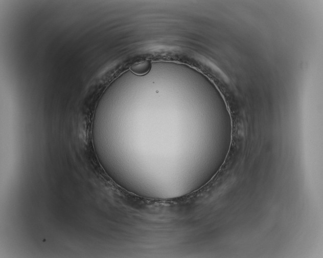 X0000114100869200910131320