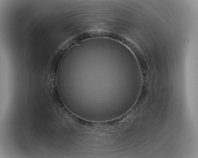 X0000114100870200910131320