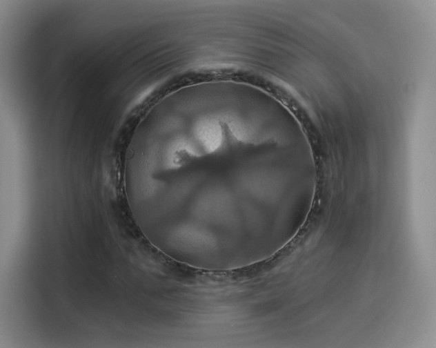 X0000114100871200910131320