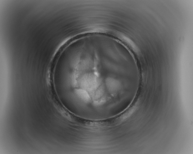 X0000114100875200910131320