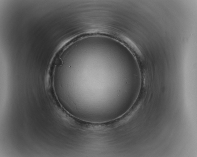 X0000114100876200910131320