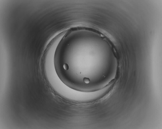 X0000114100877200910131320