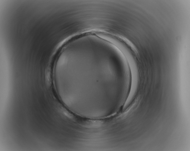 X0000114100878200910131320