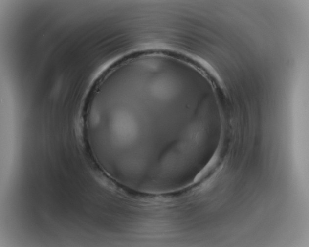 X0000114100879200910131320