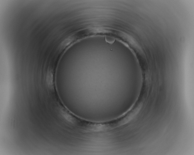 X0000114100881200910131320