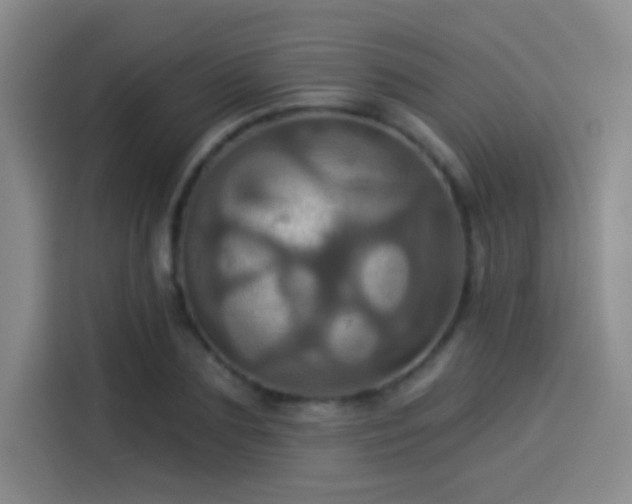 X0000114100883200910131320