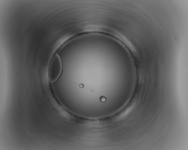 X0000114100885200910131320