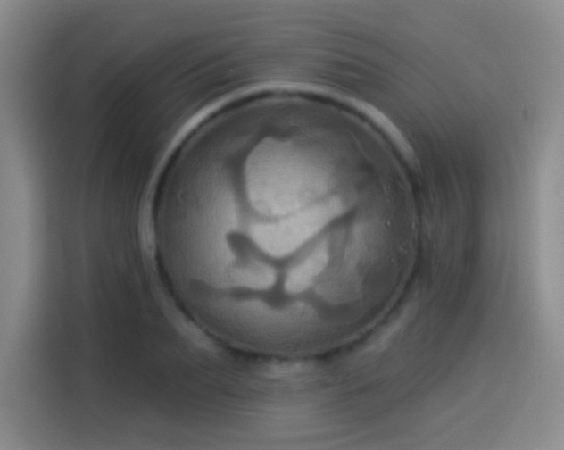 X0000114100887200910131320