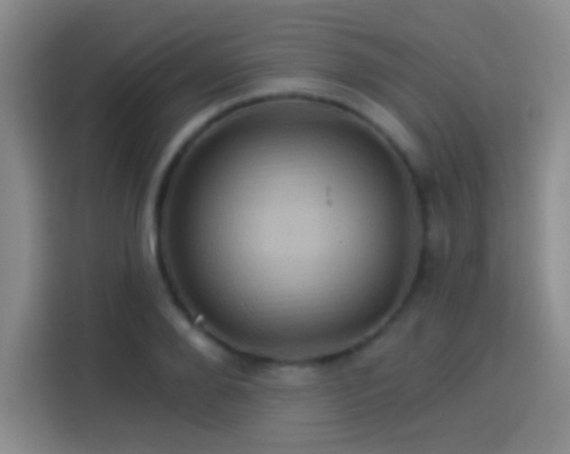 X0000114100888200910131320