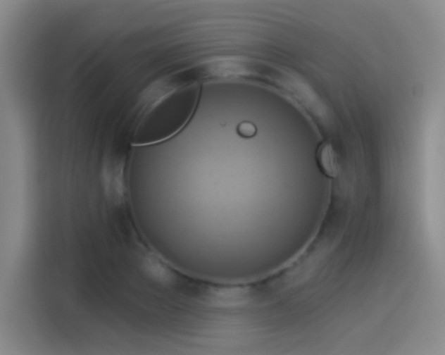 X0000114100889200910131320