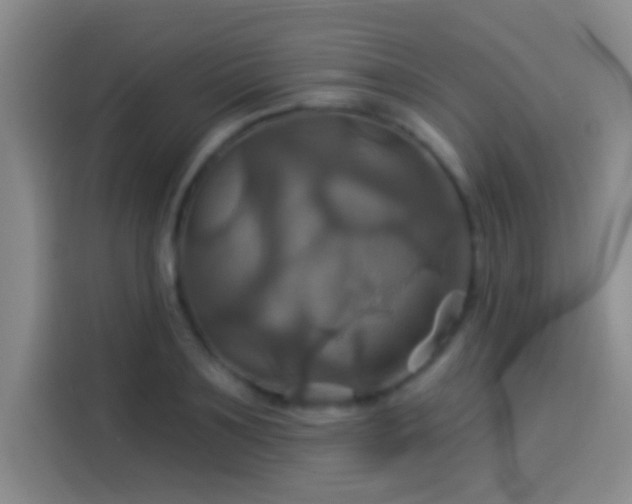 X0000114100891200910131320