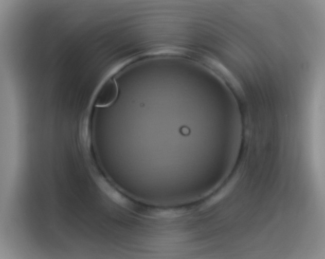 X0000114100892200910131320