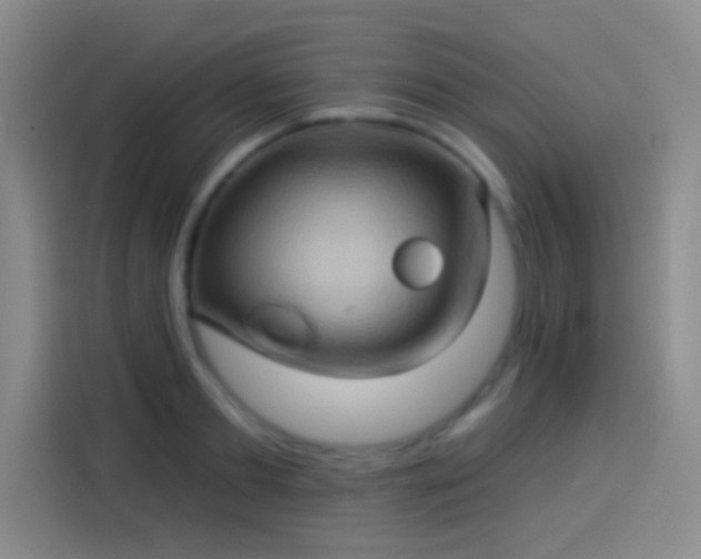 X0000114100893200910131320