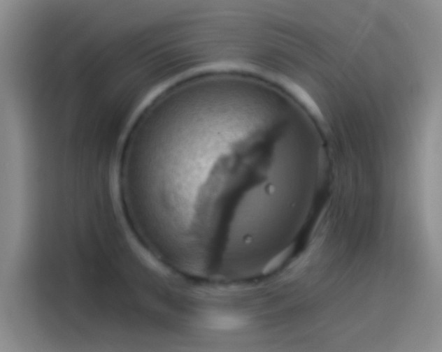 X0000114100895200910131320