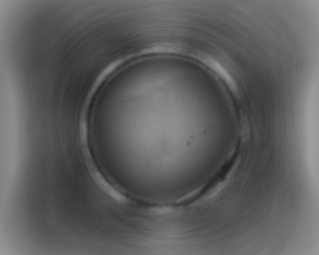 X0000114100896200910131320