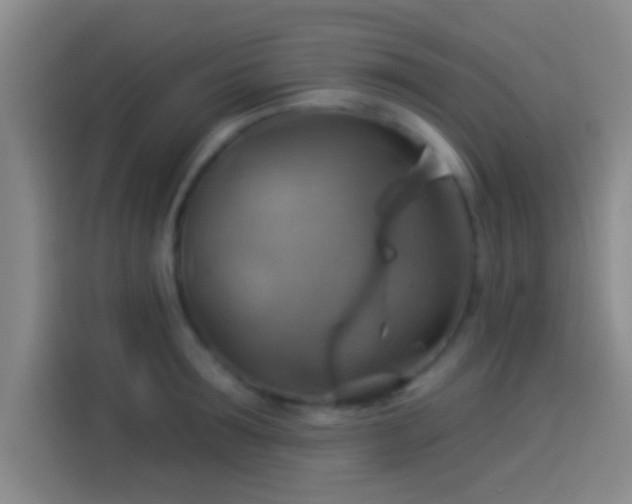 X0000114100899200910131320