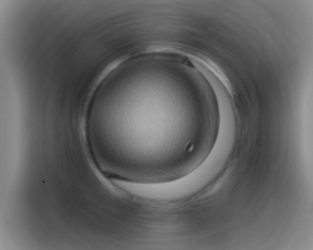 X0000114100901200910131320