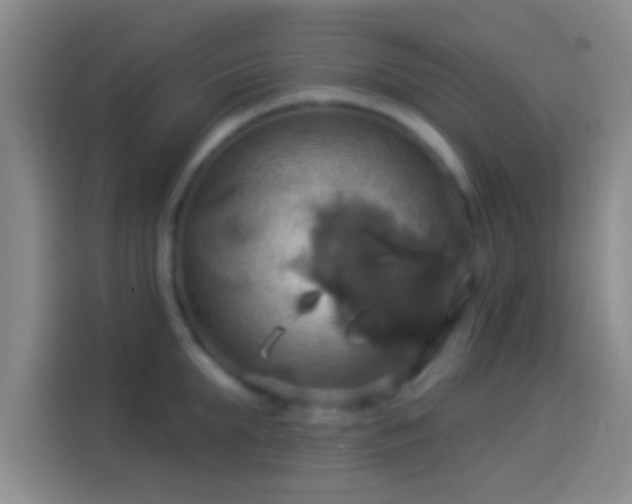 X0000114100903200910131320