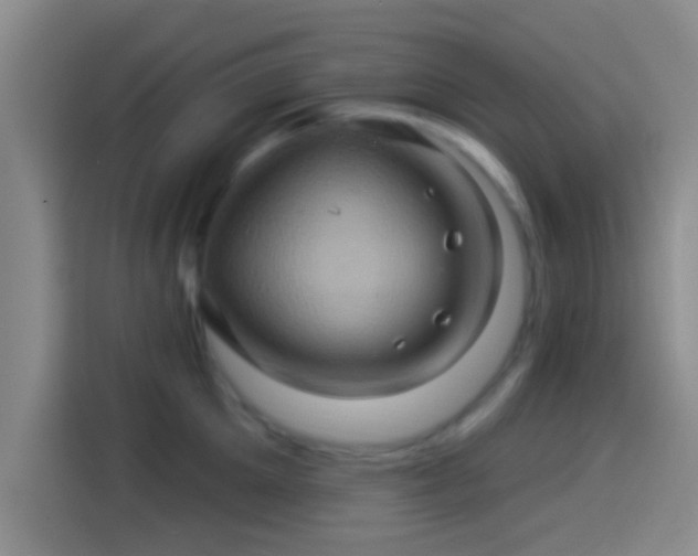 X0000114100905200910131320