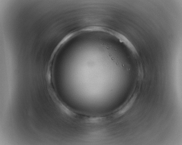 X0000114100908200910131320