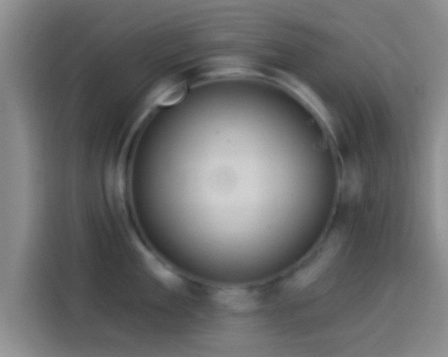 X0000114100909200910131320