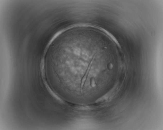 X0000114100911200910131319