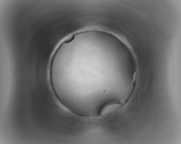 X0000114100912200910131319