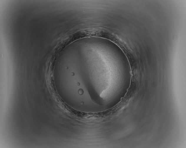 X0000114100913200910131319