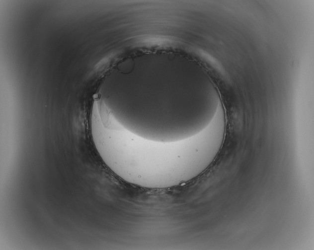 X0000114100918200910131319