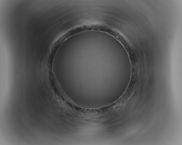 X0000114100919200910131319