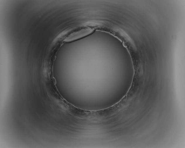 X0000114100920200910131319