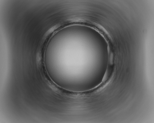 X0000114100922200910131319