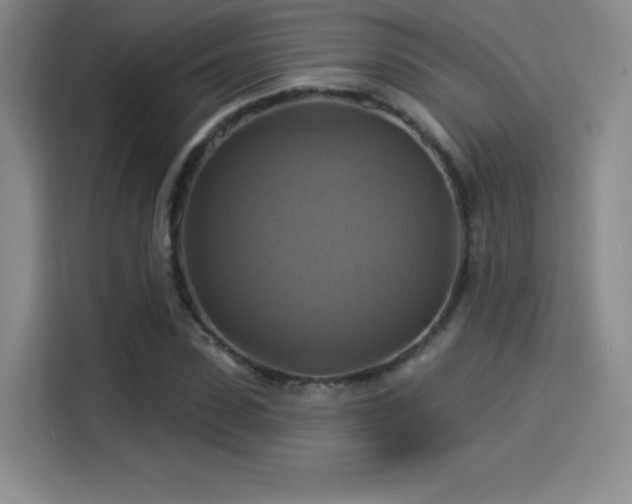 X0000114100923200910131319